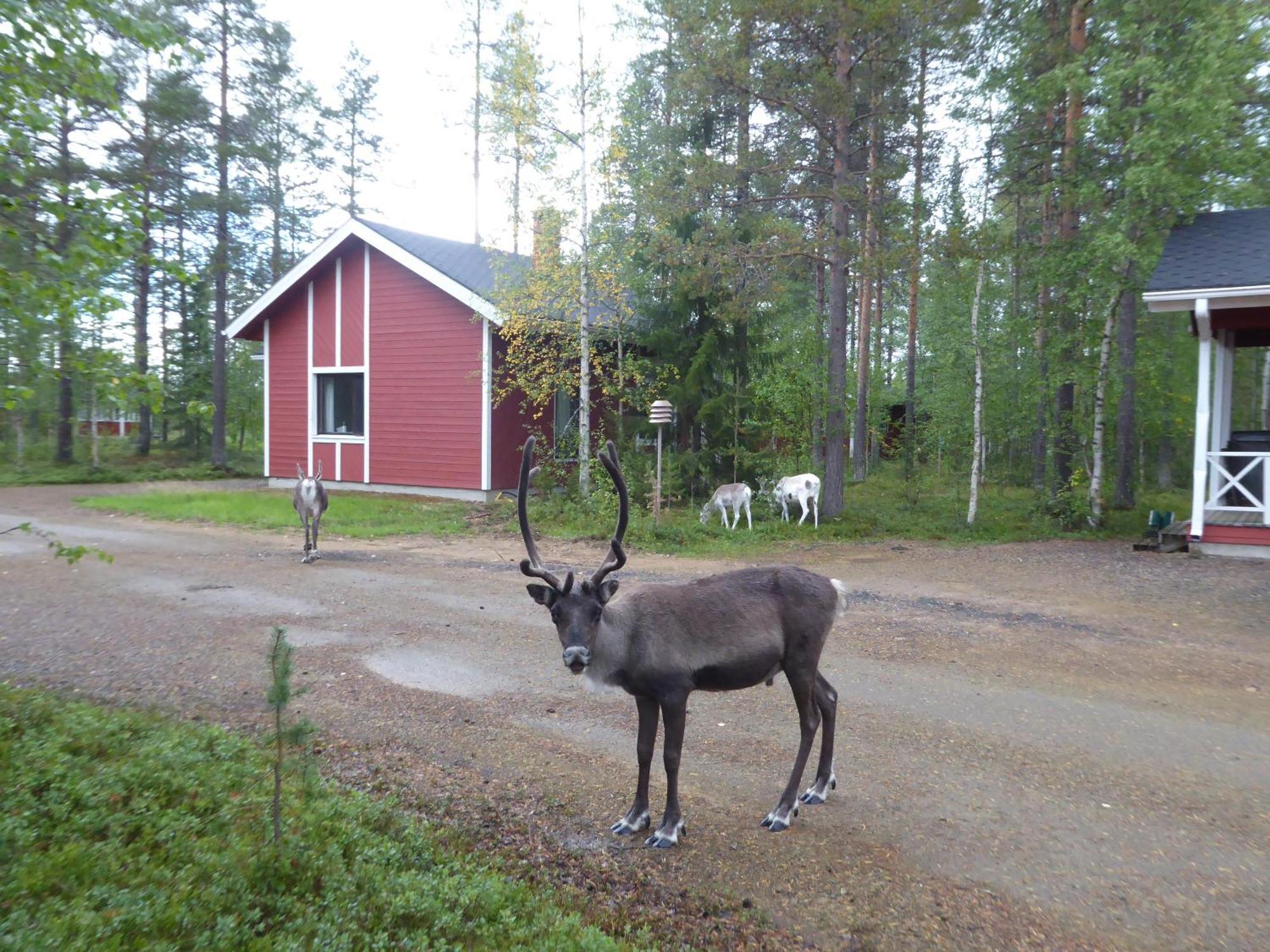 Maentymajat Vila Äkäslompolo Quarto foto